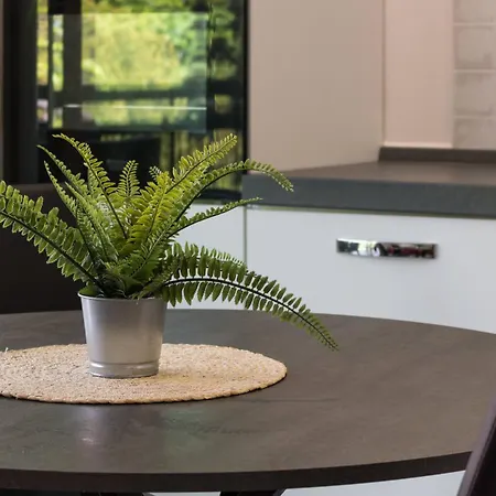 Il Professore Lakefront *